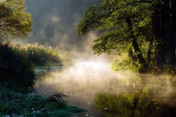 Fototapeta Poranek nad Supraślą