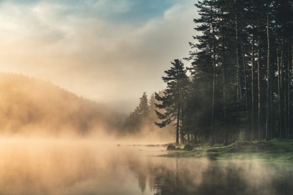 Fototapeta Poranna Mgła na Jeziorze