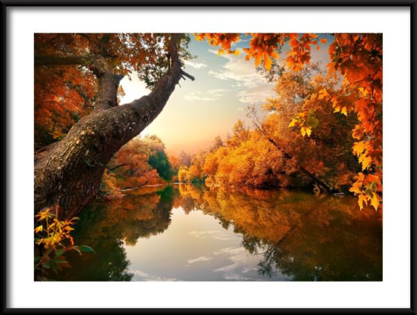 Plakat Jesienna Rzeka
