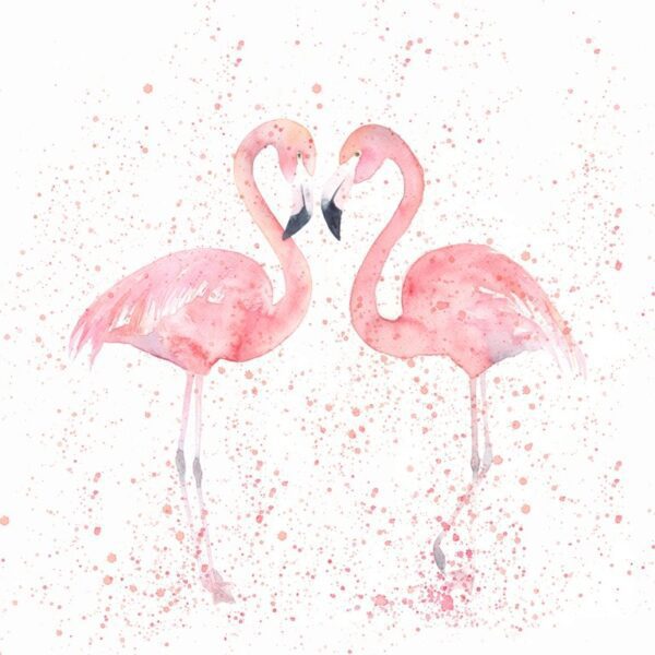 Fototapeta Dwa Flamingi