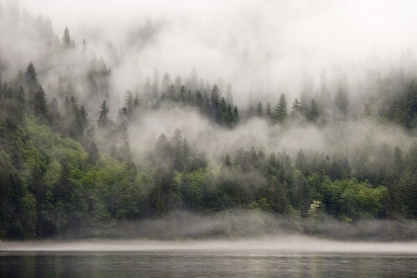 Fototapeta Mgła Nad Wodą