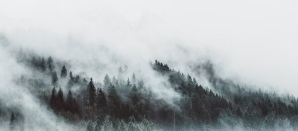 Fototapeta Płynąca Mgła