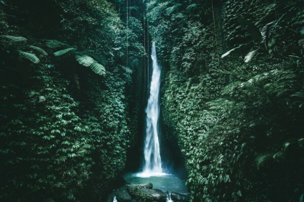 Fototapeta Wodospad Dżungli