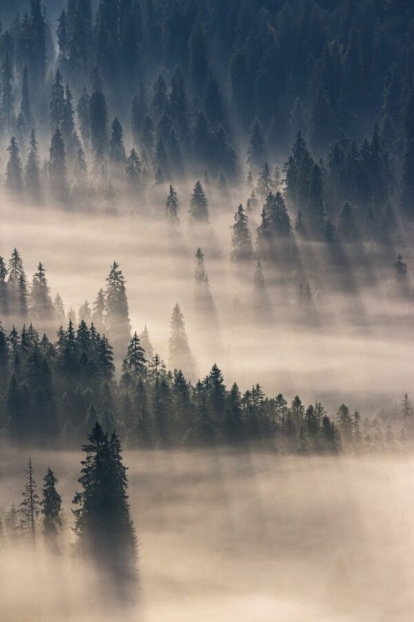 Fototapeta Mgła Jak Deszcz