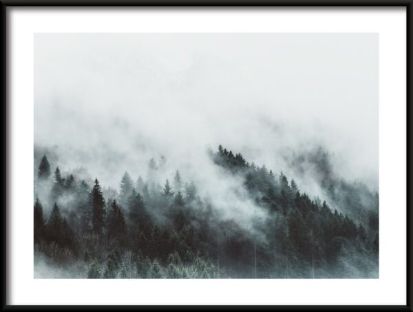 Plakat Spływająca Mgła