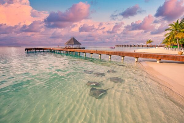 Fototapeta Piękne Bahamy