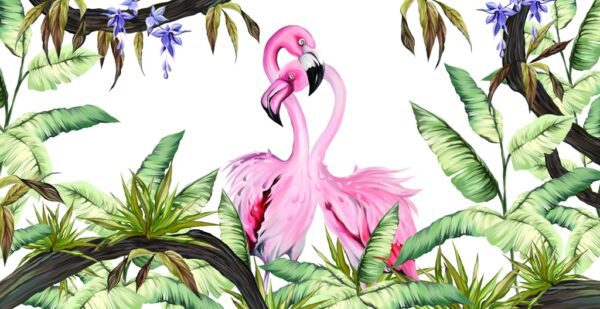 Fototapeta Flamingi w Bieli