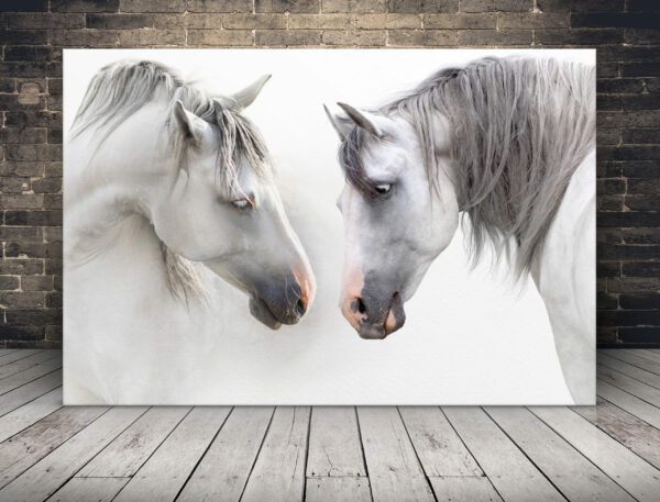 Obraz Białe Konie