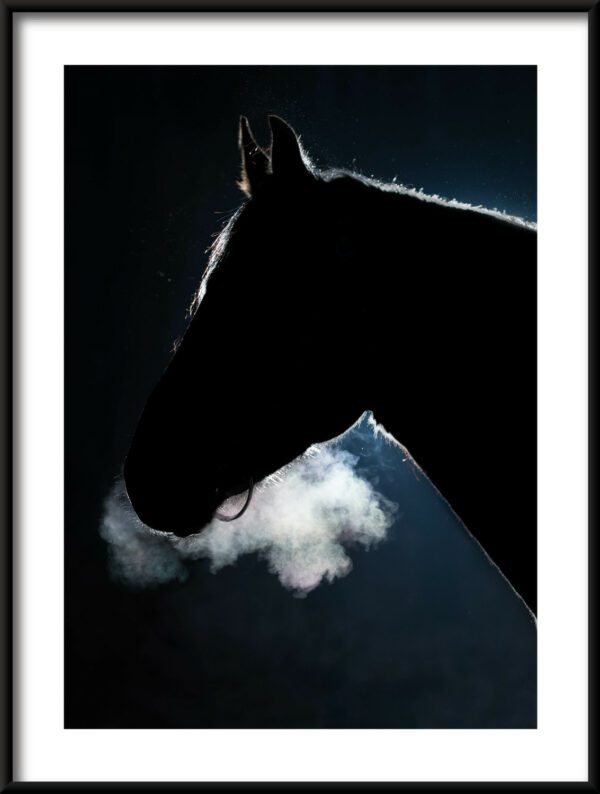 Plakat Ciemny Koń