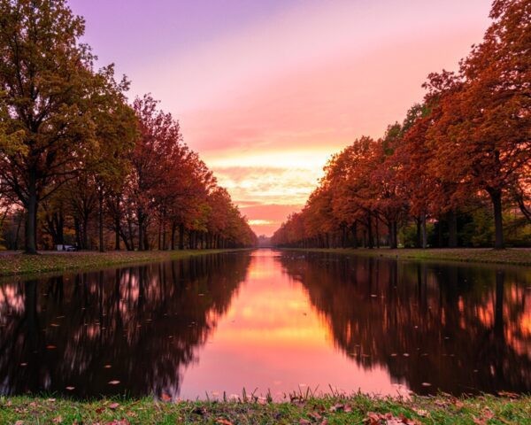 Fototapeta Różowe Niebo