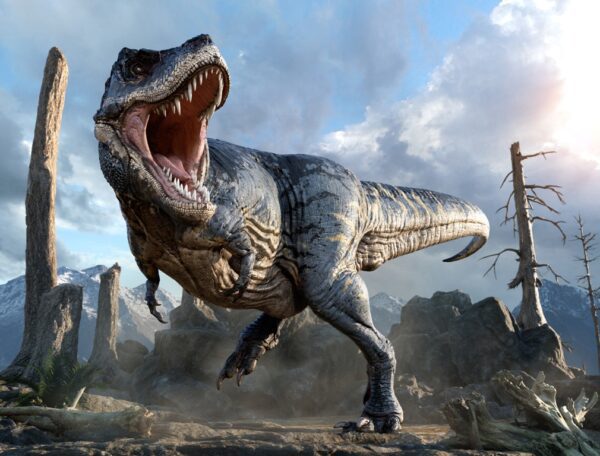 Fototapeta T-Rex w 3D