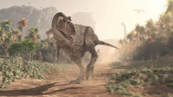 Fototapeta T-Rex w  Dżungli