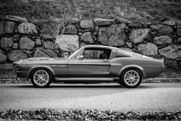 Fototapeta Mustang 1967