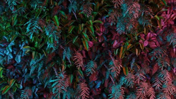 Fototapeta Neonowa Dżungla