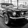 Fototapeta Szary Mustang GT