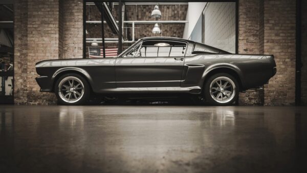 Fototapeta Mustang GT 500