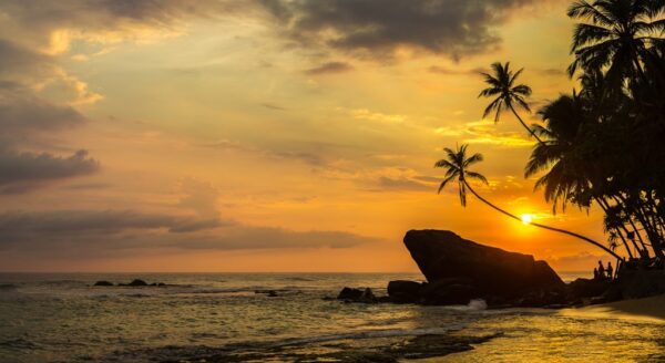 Fototapeta Plaża Na Sri Lance