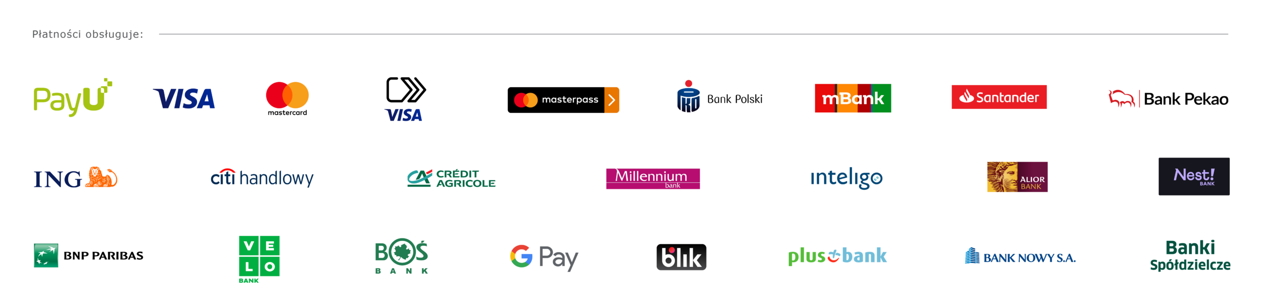 Pasek_banki_karty_VISA_checkout_Masterpass_GP_11_2022 - Dimuro.pl