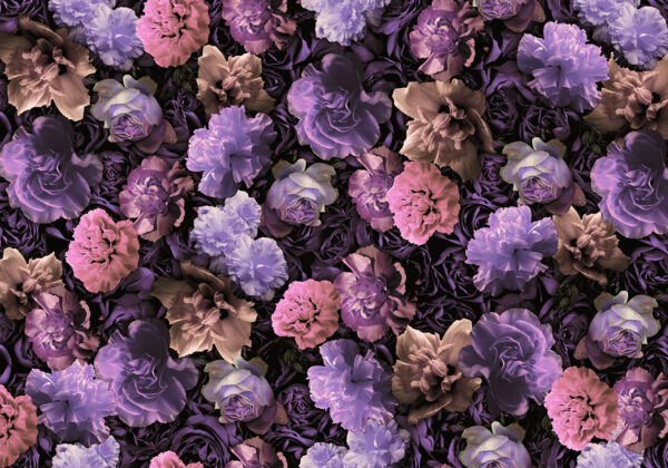 Fototapeta Fioletowe Kwiaty