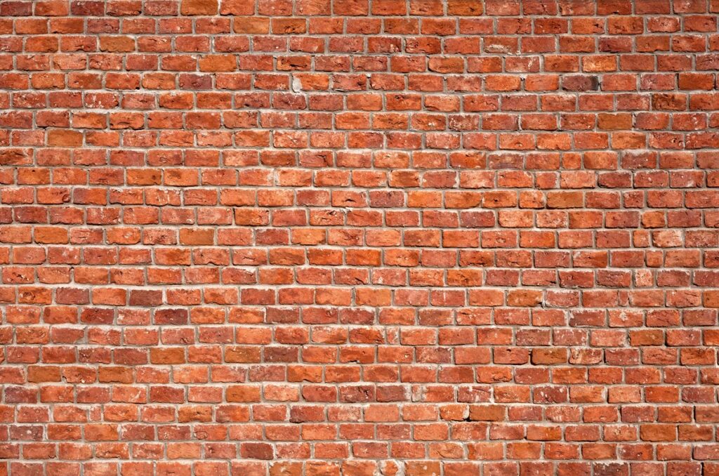 Fototapeta Liście Na Beżowym Tle