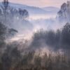Fototapeta Jezioro We Mgle