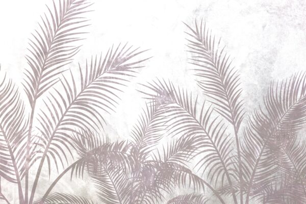 Fototapeta Ciepły Pióropusz Palm