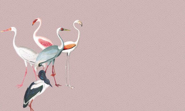 Fototapeta Flamingi w Kropkach
