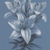 Fototapeta Kwitnące Drzewo Sakura