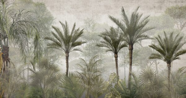 Fototapeta Las Wysokich Palm We Mgle