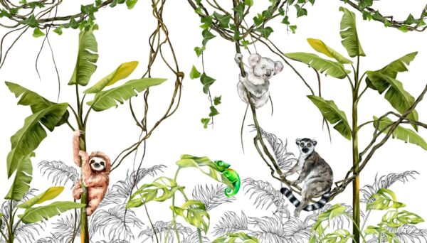 Fototapeta Lemur Na Lianie