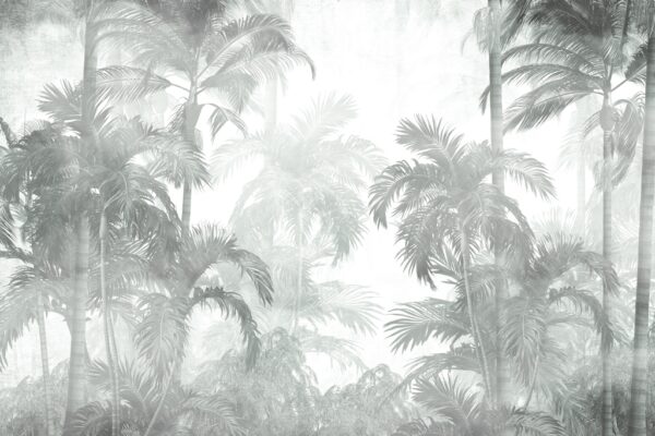 Fototapeta Mgła Wśród Palm