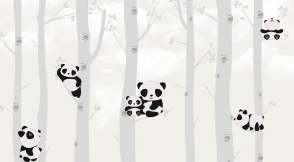 Fototapeta Misie Koala Na Drzewach