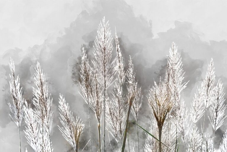 Fototapeta Mróz Na Roślinach