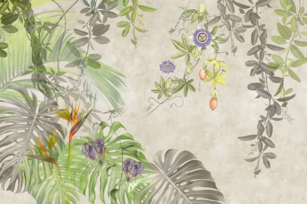 Fototapeta Szara Monstera