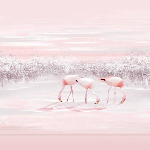 Fototapeta Trzy Flamingi