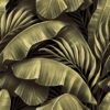 Fototapeta Drzewa Tropikalne 3D