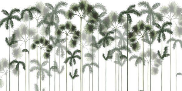 Fototapeta Zielony Las Palmowy