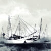 Fototapeta Zielona Palma