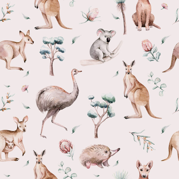 Fototapeta Australijskie Zwierzątka