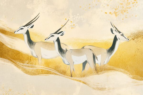 Fototapeta Spokój Pustyni