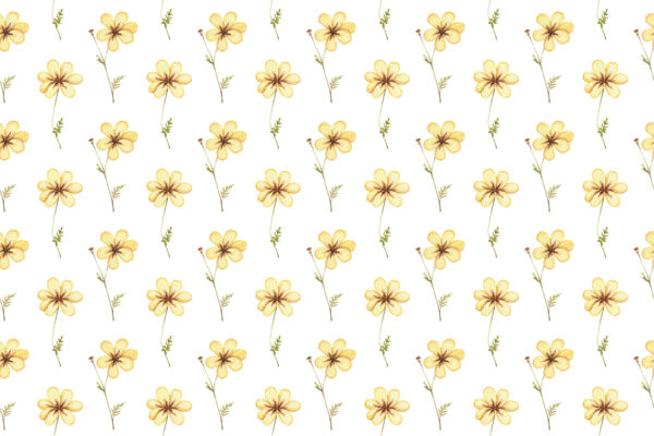 Fototapeta Żółte Kwiaty