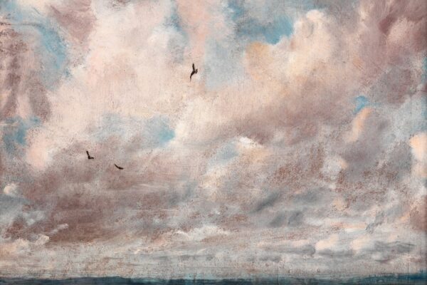 Fototapeta Ptaki w Chmurach