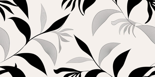 Fototapeta Kontrast Liści