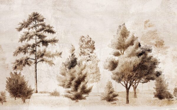 Fototapeta Leśne Echo