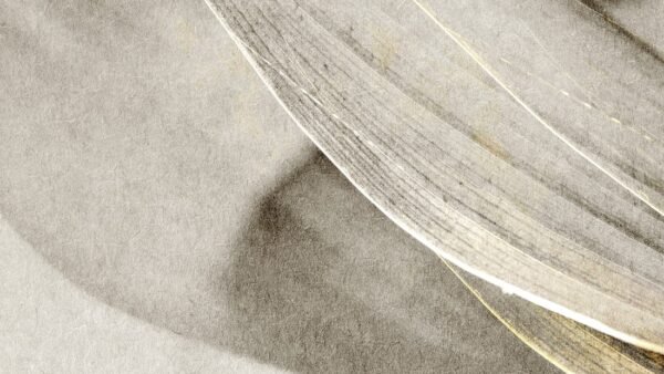 Fototapeta Muśnięcie Wiatru