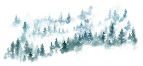 Fototapeta Mglisty Las Iglasty