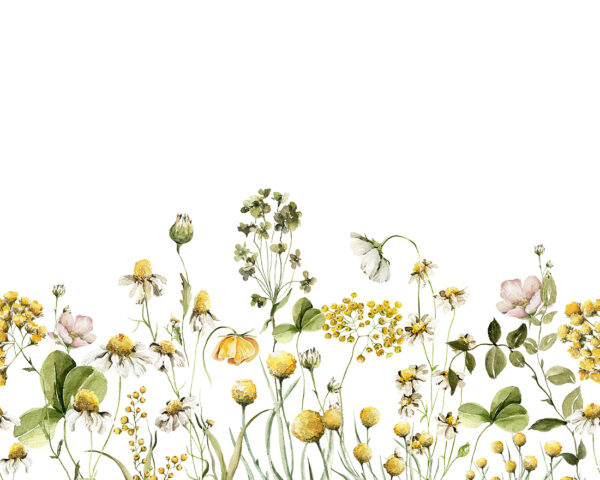 Fototapeta Wolność Kwiatów