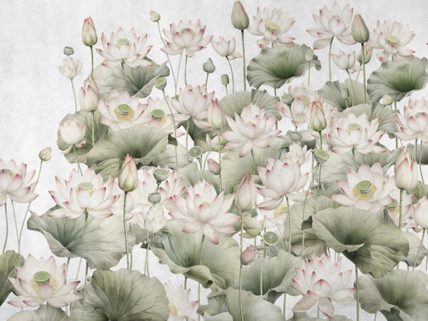 Fototapeta Lilie Wodne