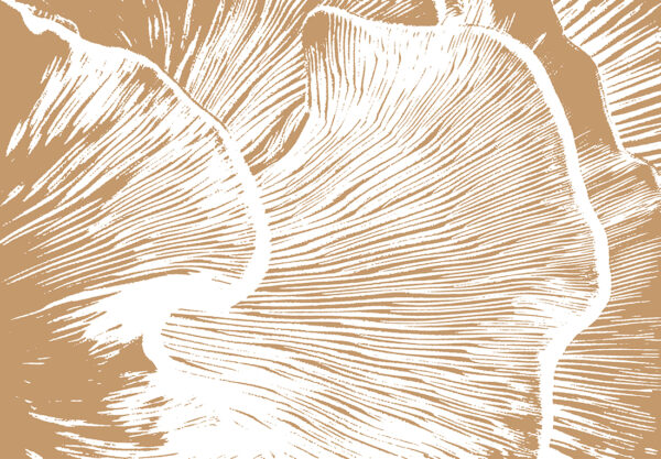 Fototapeta Szum Myśli