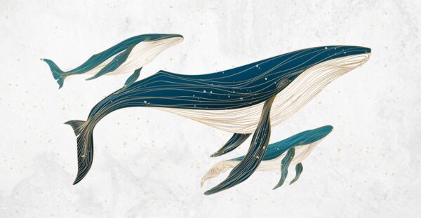 Fototapeta Podróż Wielorybów